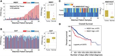 β-Lapachone Selectively Kills Hepatocellular Carcinoma Cells by Targeting NQO1 to Induce Extensive DNA Damage and PARP1 Hyperactivation